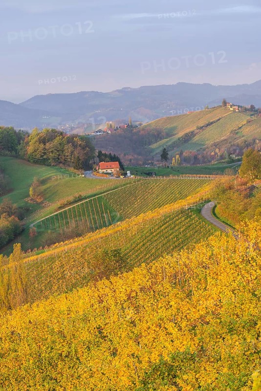 Autumnal vineyards and farmhouses in the morning light