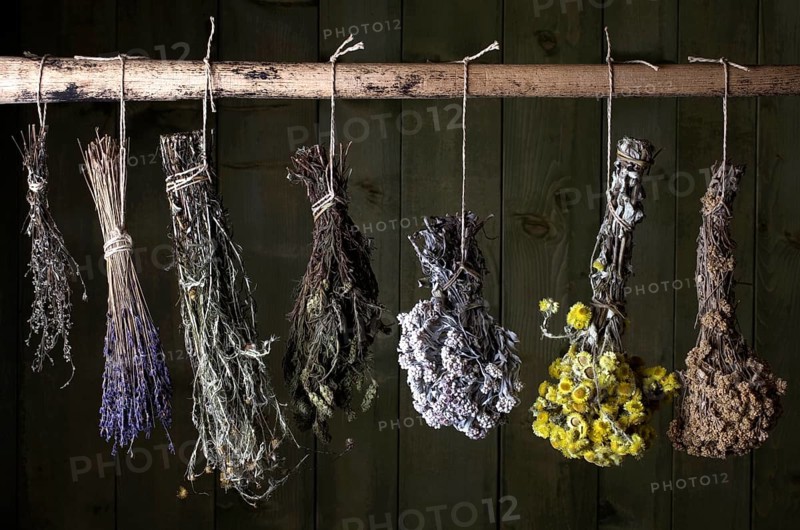Various herbal bouquets