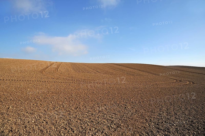 Large field ready for sowing