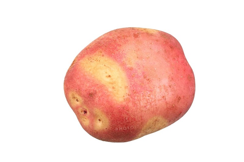 Potato
