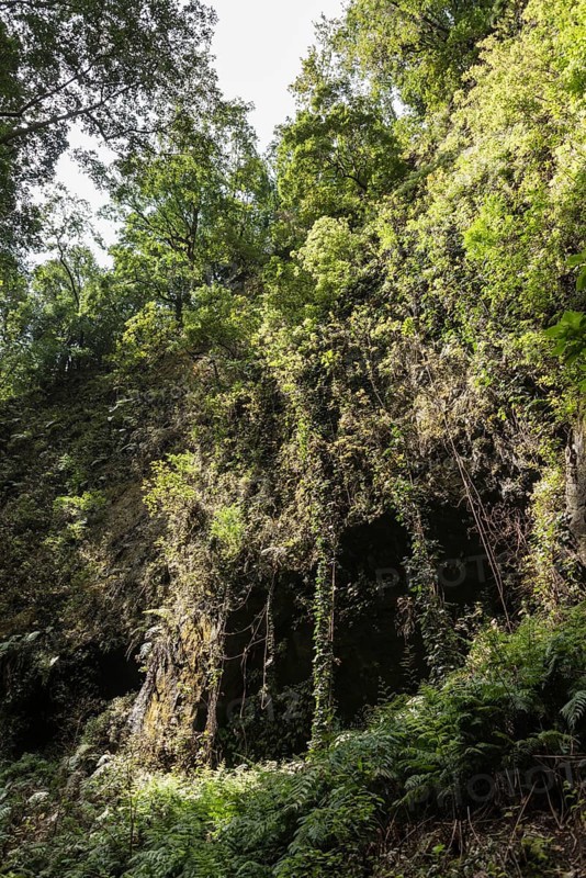 Barranco del Agua canyon