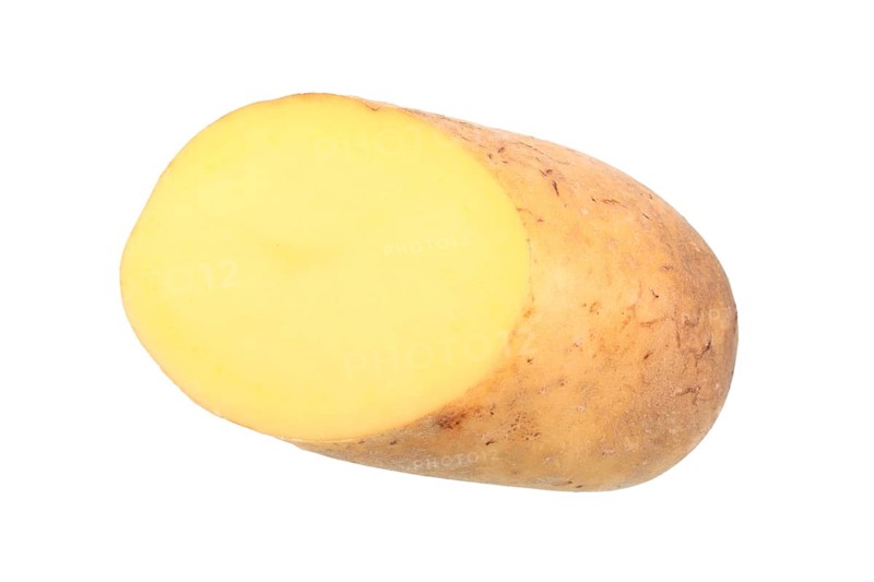 Potato