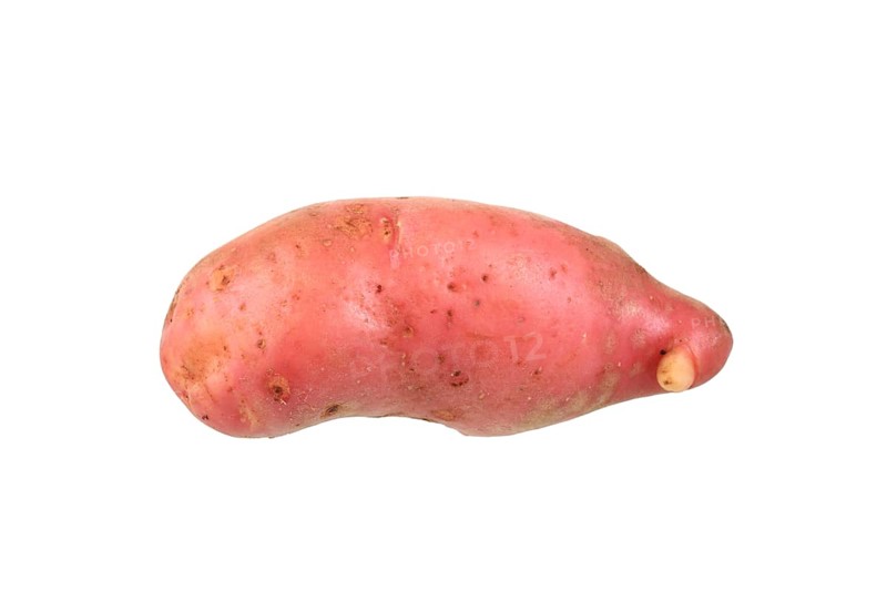 Potato