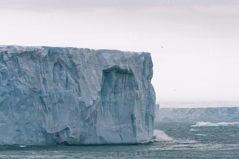 Brasvellbreen