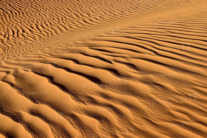 Sand ripples
