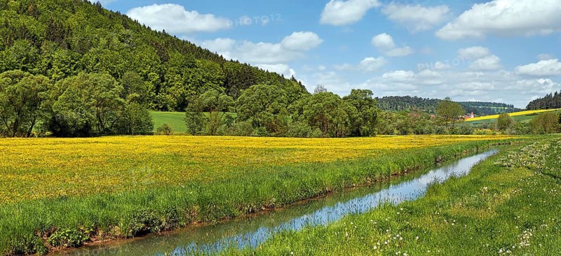 The Anlauter river in Anlautertal valley with flower meadows