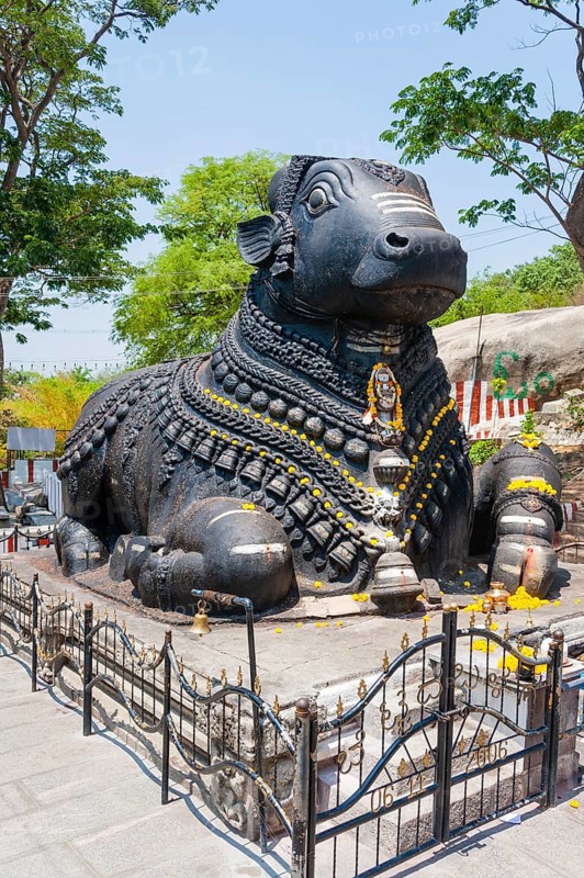 Statue of a decorated holy cow