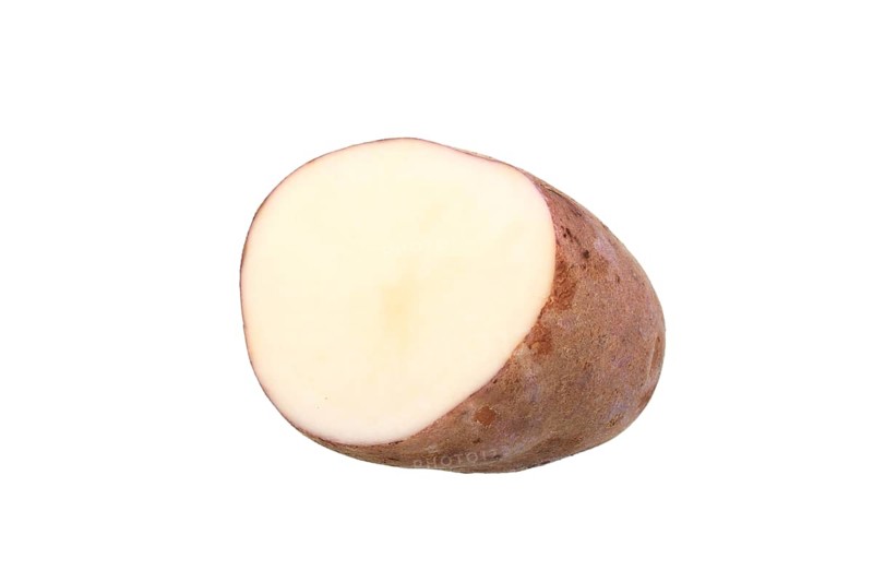 Potato