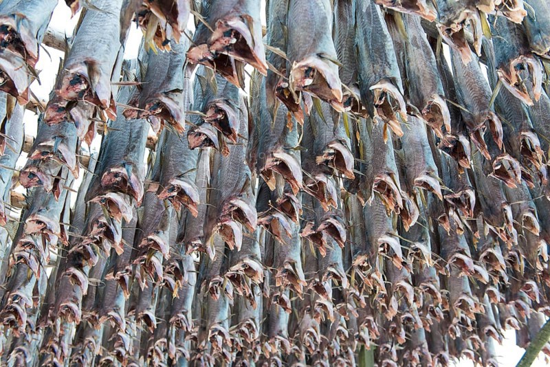 Dried cod