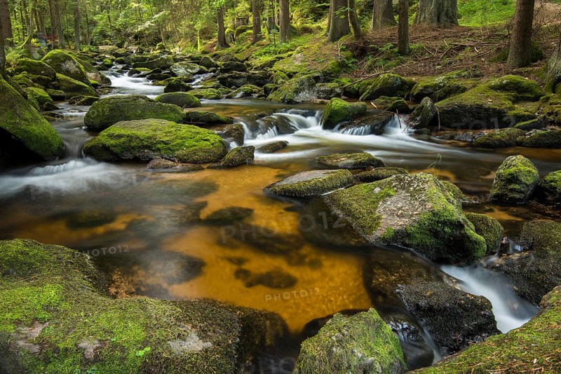 Hollfall brook