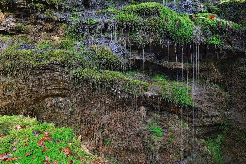 Waterfall on the Grossen Arbersee lake