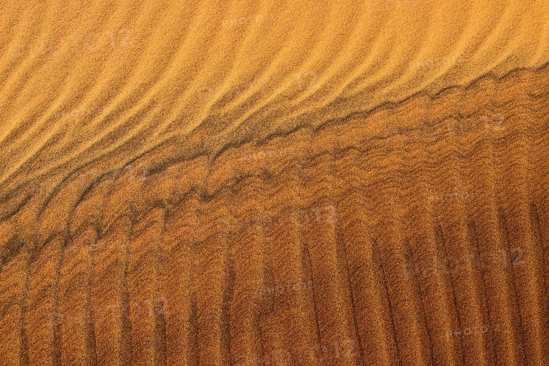 Sand ripples