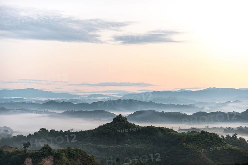 Landscape with mist