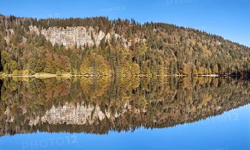Lake Feldsee and Feldberg mountain