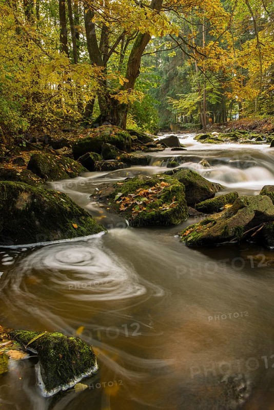 Brook in autumn