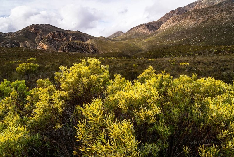 Landscape in Gamkaskloof or 'Die Hel' Valley