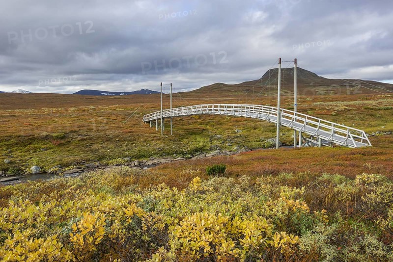 Suspension bridge