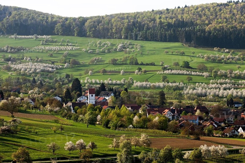 Townscape
