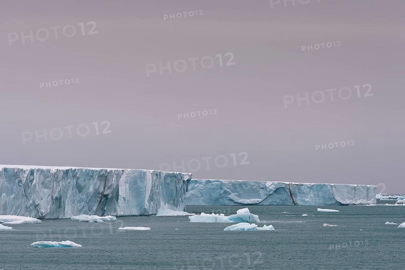 Brasvellbreen