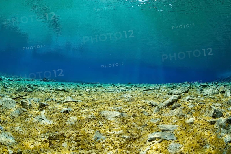 Underwater view