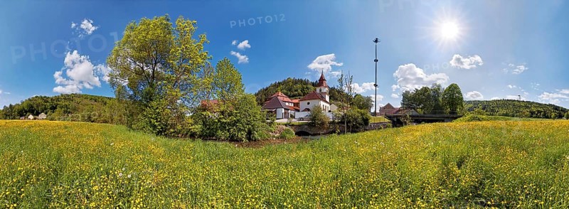 Village of Altdorf with a flower meadow