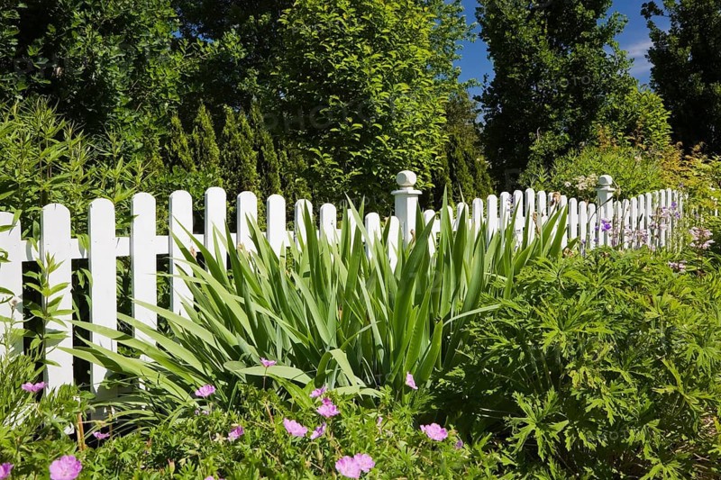 White wooden picket fence in front of a flower bed in a landscaped residential front yard garden