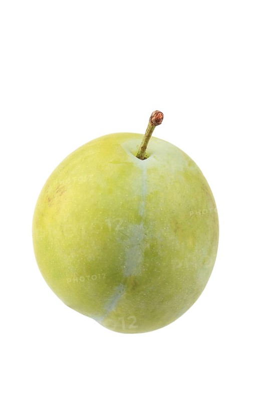 Ontario plums