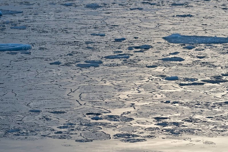 Pancake ice