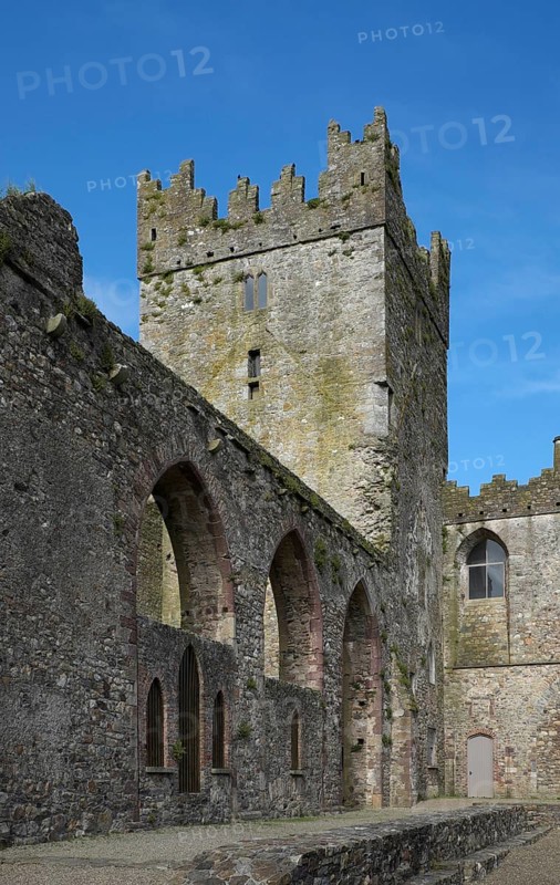 Ruins of Tintern Abbey