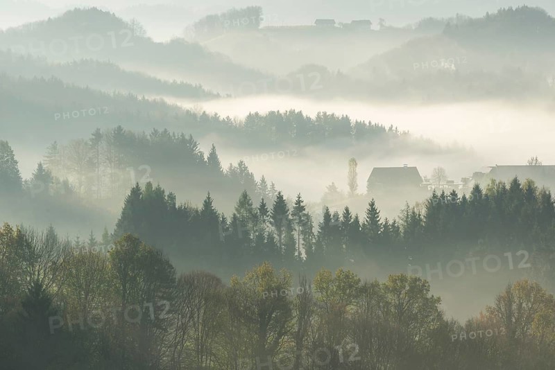 Morning mist over wooded hills