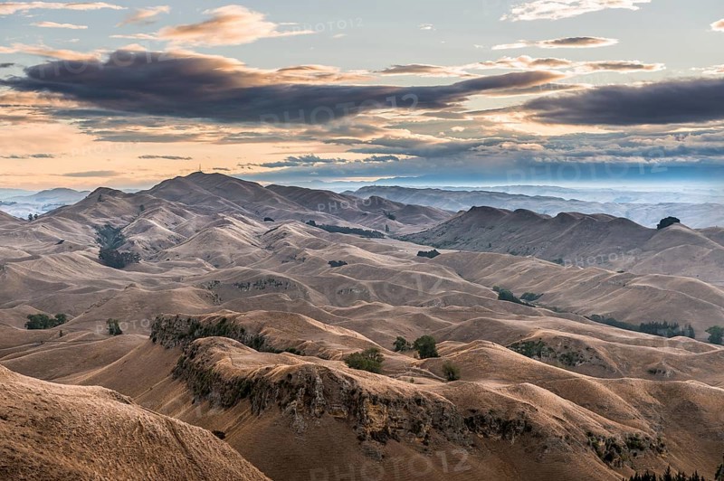 Te Mata Peak