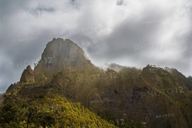 Rocks covered with pine trees