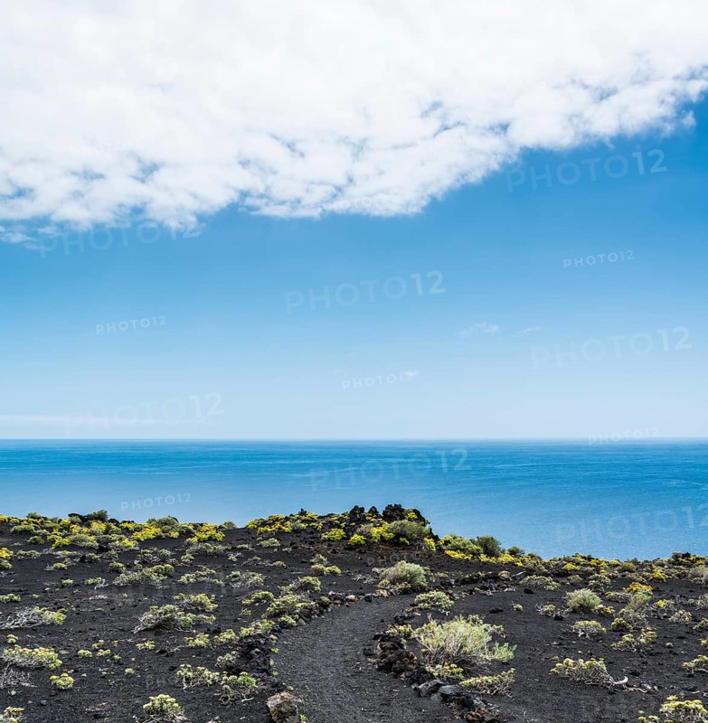 Hiking trail through a lava landscape