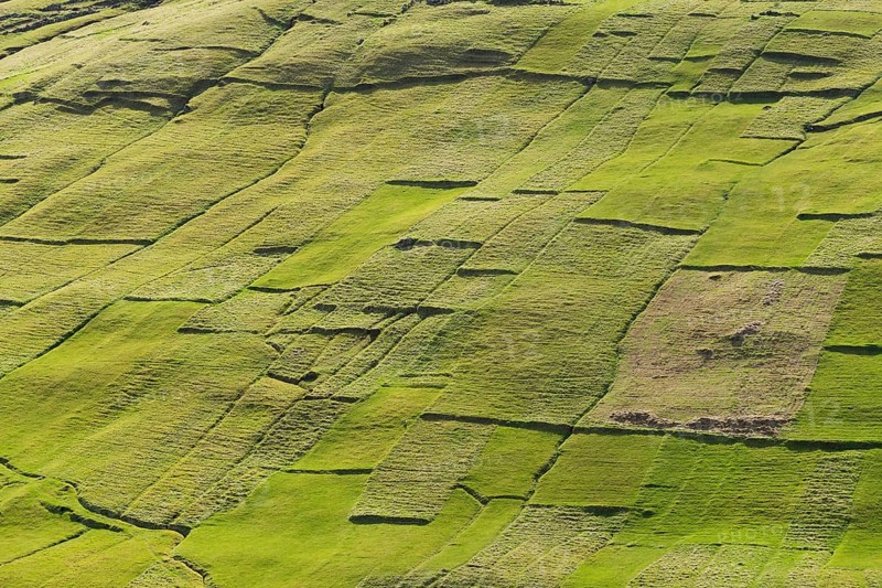 Parcels of land