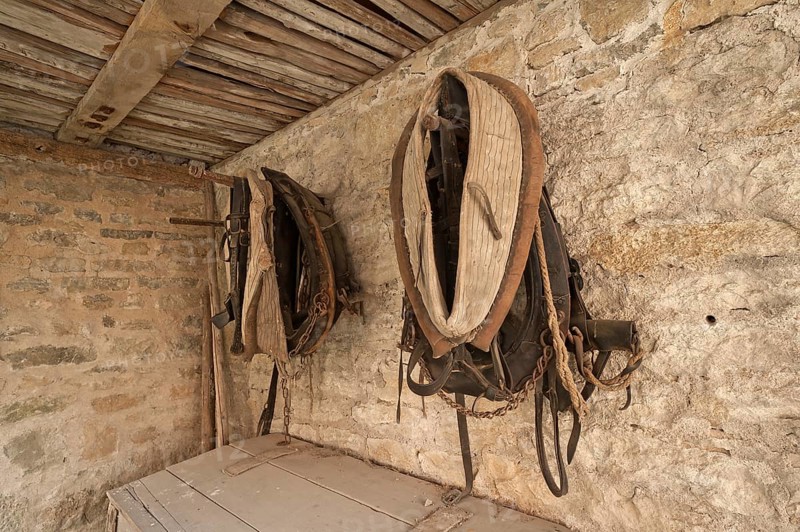 Horse collars