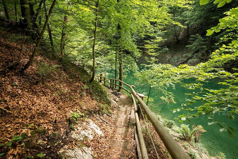 Hiking trail in Mendlingtal valley