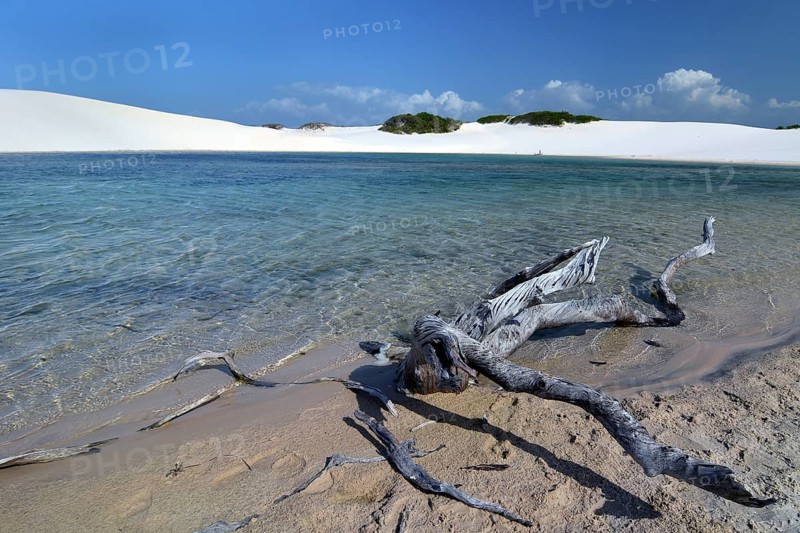 Freshwater lagoon