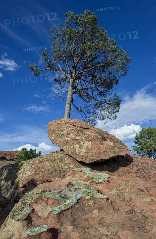 Rock formations in the Pinares de Rodeno Nature Reserve