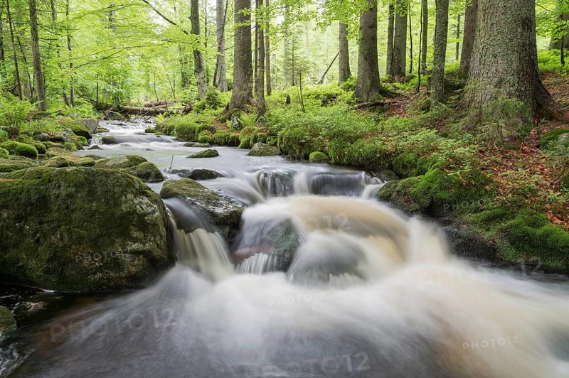 Kleine Ohe mountain stream