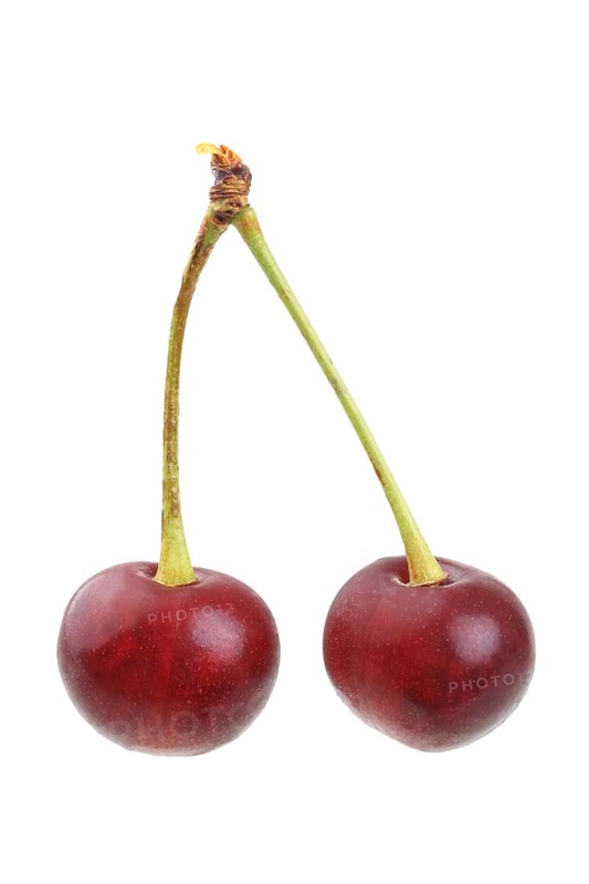 Sour cherries of the Schattenmorelle variety