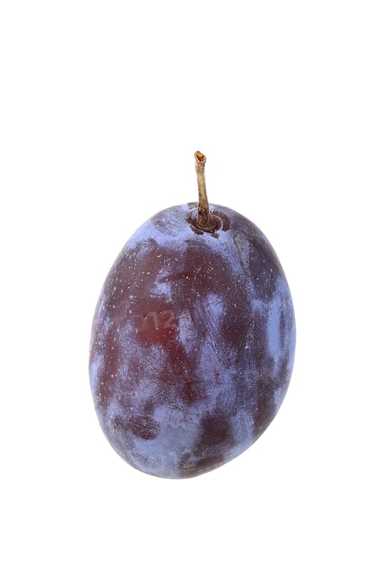 Plum