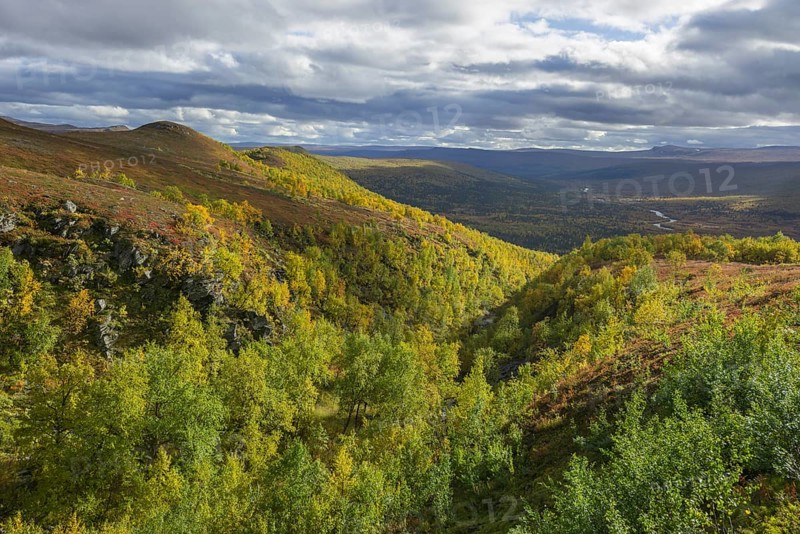 Vindelfjallen in autumn