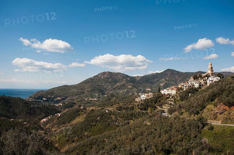 View of Legnaro