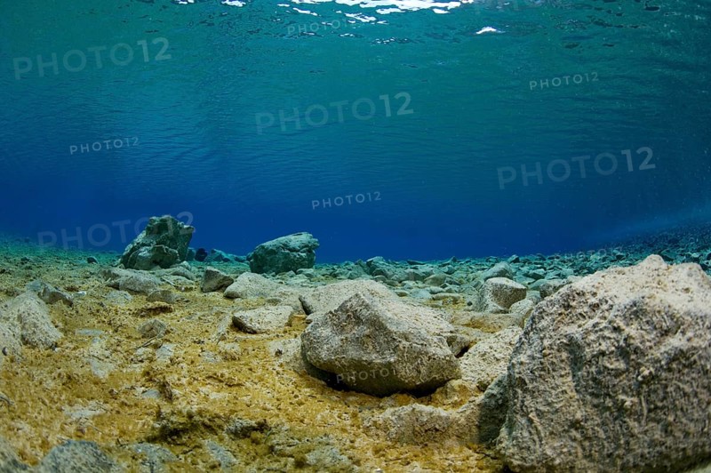 Underwater view