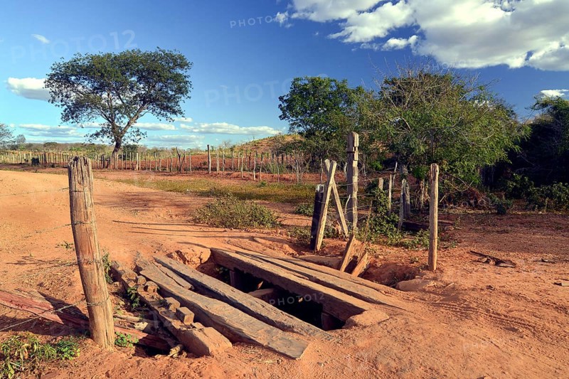 Primitive bridge of an earth road
