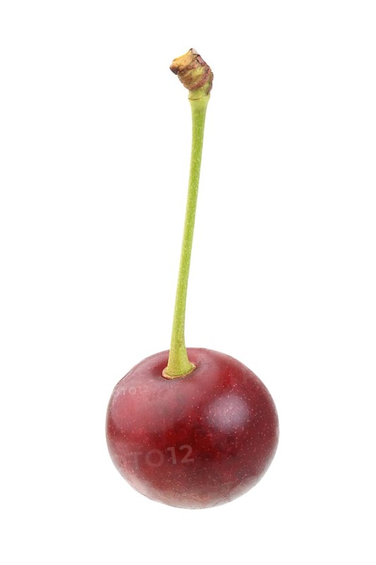 Sour cherry