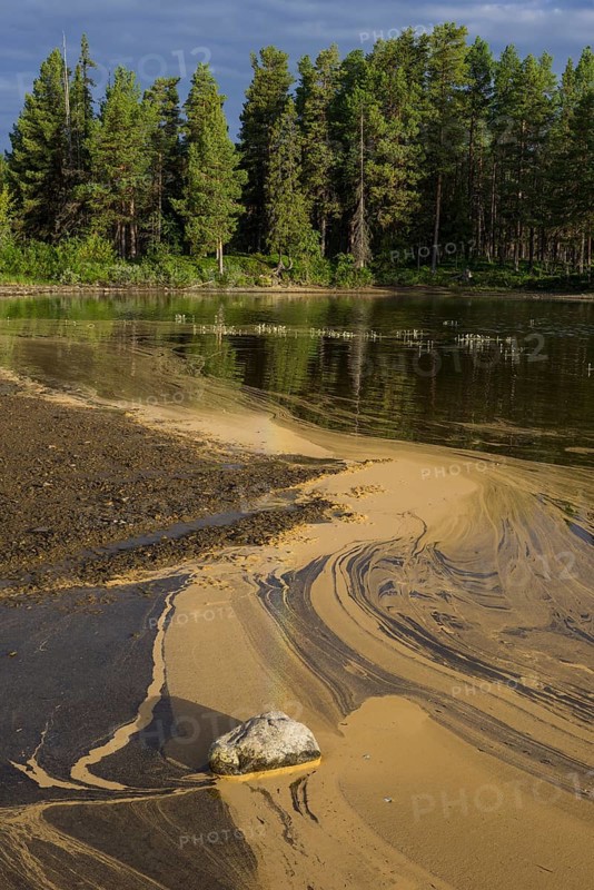 Pollen form patterns in the Saggat Lake near the island of Arrenjarka