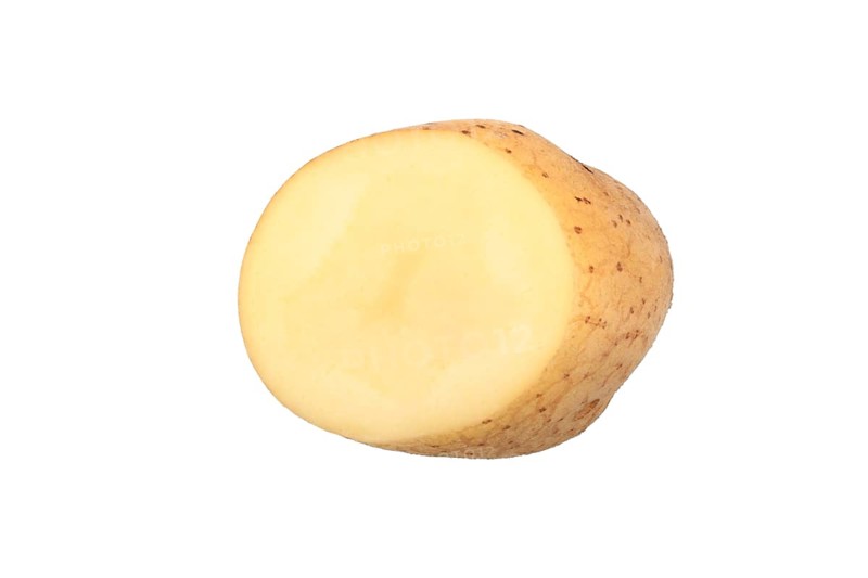 Potato