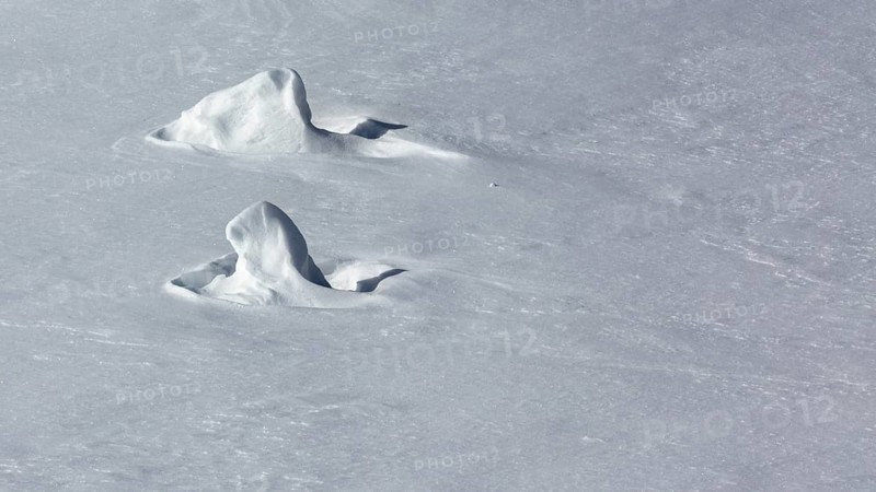 Snow sculptures