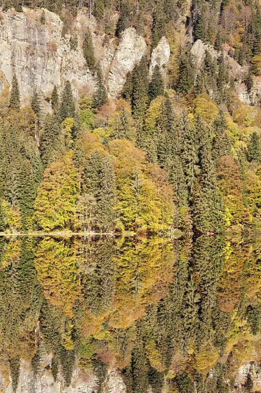 Lake Feldsee and Feldberg mountain